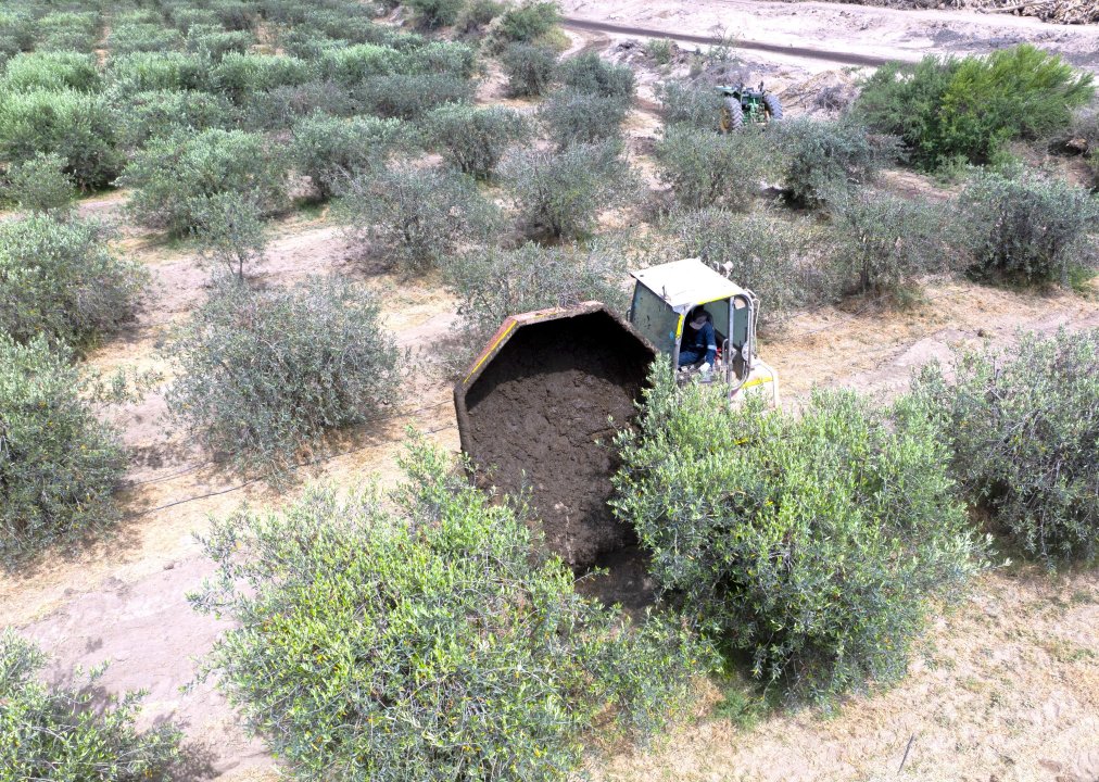 /lodos-beneficos-el-suelo-agricola-se-nutre-con-esta-iniciativa-de-nueva