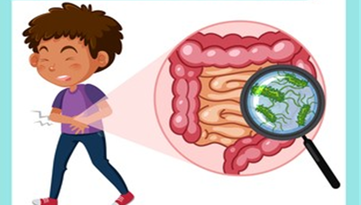 /confirman-16-casos-de-salmonella-en-la-comuna-y-refuerzan-llamado-a-la