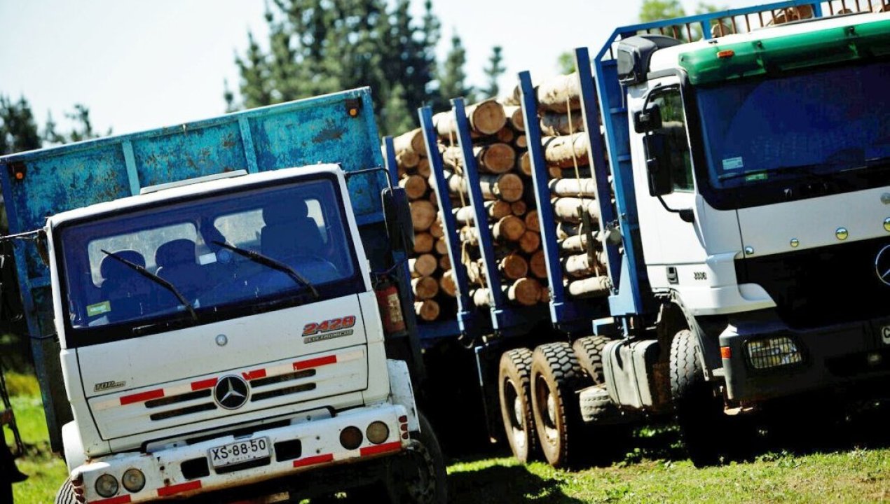 /regionales/region-de-la-araucania/pdte-de-corma-un-50-de-bandas-dedicadas-al-robo-de-madera-han-sido