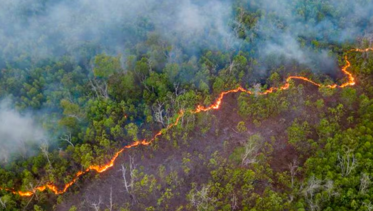 /tendencias/medio-ambiente/cambio-climatico/investigacion-dice-que-en-2050-la-amazonia-podria-llegar-a-un-punto-de-no