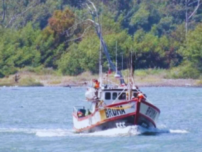 Gobierno presentó querella por omisión de socorro en torno al caso de la lancha “Bruma” en Coronel