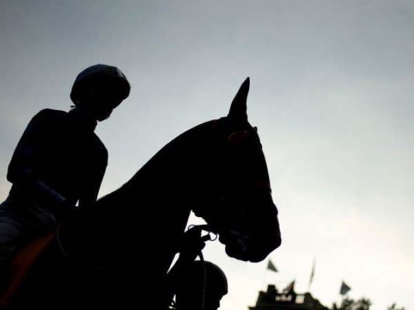 Hombre fallece tras violenta pelea en carrera de caballos en Cauquenes