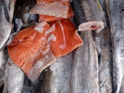 Sernac fiscaliza venta de pescados y mariscos congelados por Semana Santa