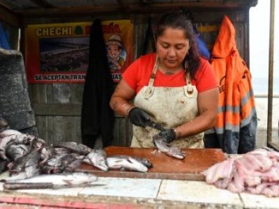 Nuevo proyecto de ley busca dar respaldo legal y estabilidad a mujeres de la pesca artesanal