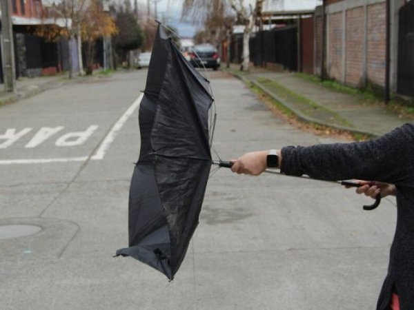 Alerta meteorológica: Anuncian rachas de viento de hasta 100 km/h en 3 regiones del sur de Chile