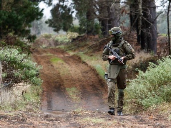 Carabinero falleció tras recibir impacto de bala durante guardia rural en Victoria