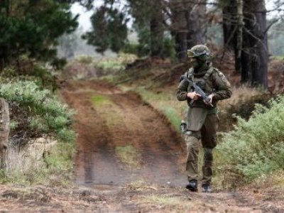 Carabinero falleció tras recibir impacto de bala durante guardia rural en Victoria