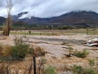 Cooperativa Control Pisquero busca a agricultores aislados en cuatro valles