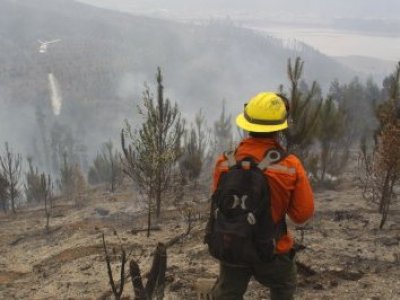 Fijan para noviembre cierre de investigación por megaincendio en Santa Juana