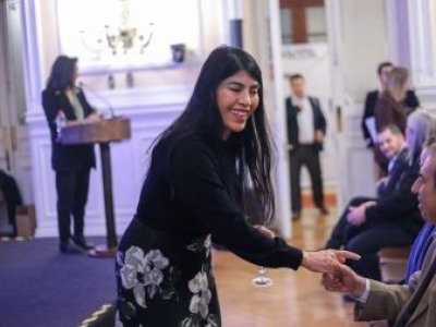 Por primera vez Institutos Profesionales y Centros de Formación Técnica podrán participar del FOVI