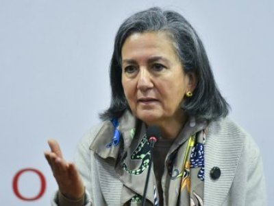 Ministra May Chomali reconoce colapso en unidades hospitalarias de salud mental