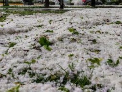 Tras intensas granizadas: SNA advierte posibles alzas de costos tras daños en cultivos